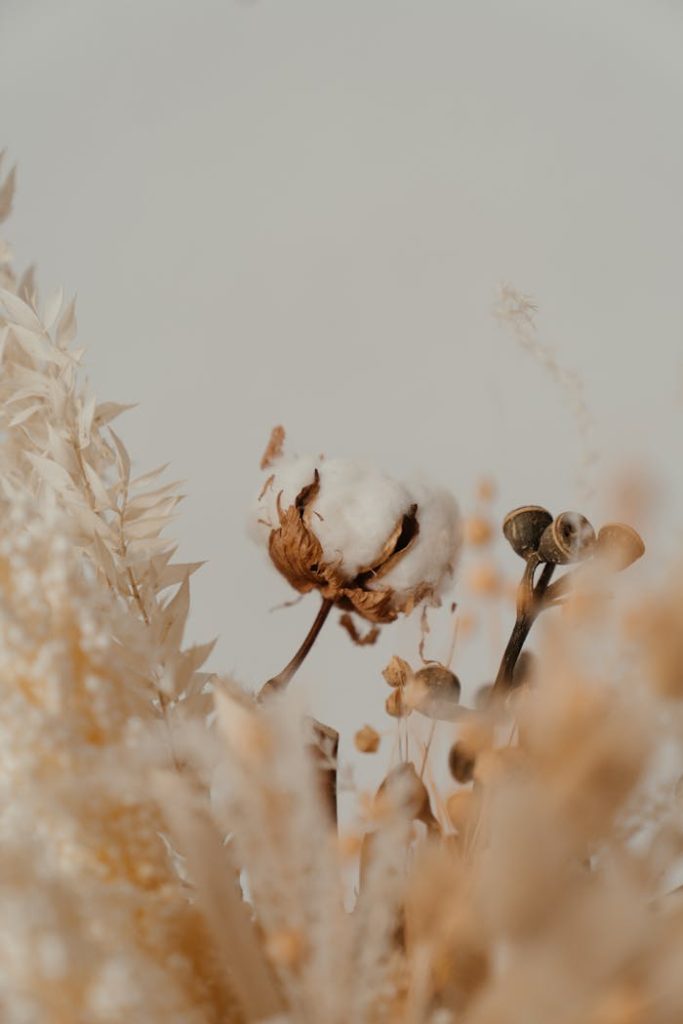 Artistic close-up of dried floral bouquet featuring cotton balls and eucalyptus against a soft backdrop.